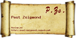Pest Zsigmond névjegykártya